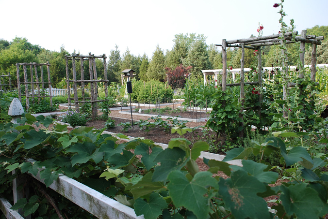 Garden (1)