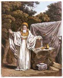 an-arch-druid-in-his-judicial-habit