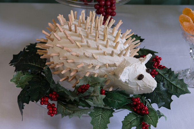 Hedgehog 2.JPG
