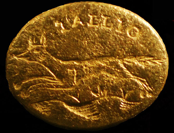 TallioCLOSEUP