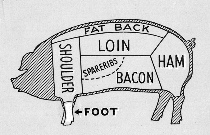 Butcher Diagram for Pig