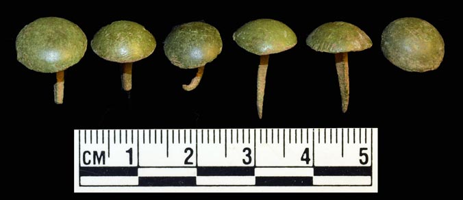 FF20-Tacks.Small