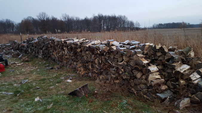 5 cords of Firewood 1