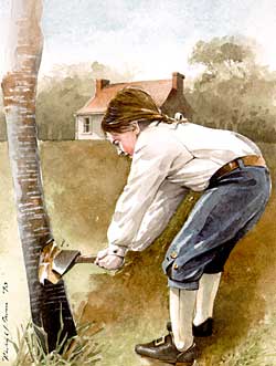 A History of Trees at Ferry Farm | Lives & Legacies