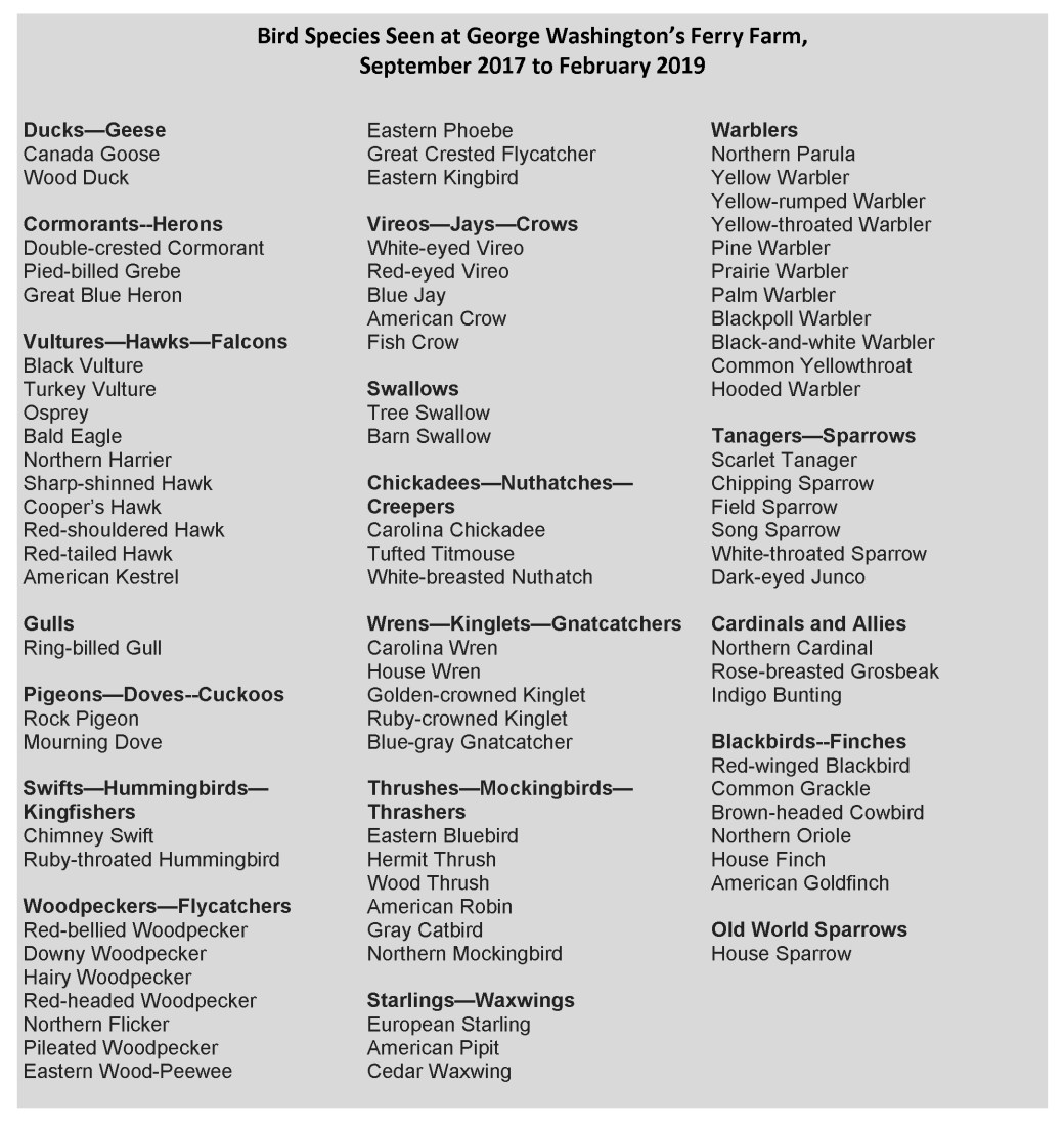 Bird Species List