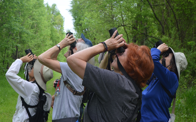 Fredericksburg Birding Club