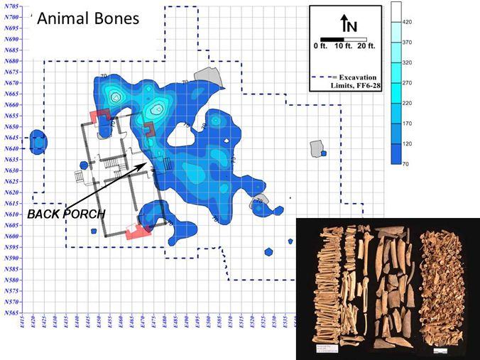 Animal Bone Concentration behind Washington House
