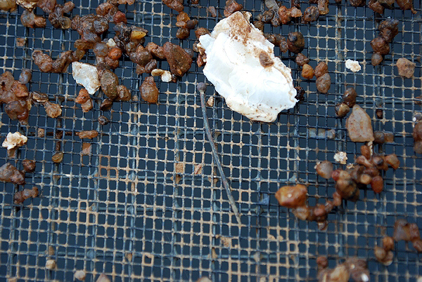 GWF_FF20-Waterscreen-StraightPin-17May2013