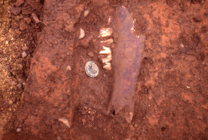 Pig jaw found in Kenmore's midden
