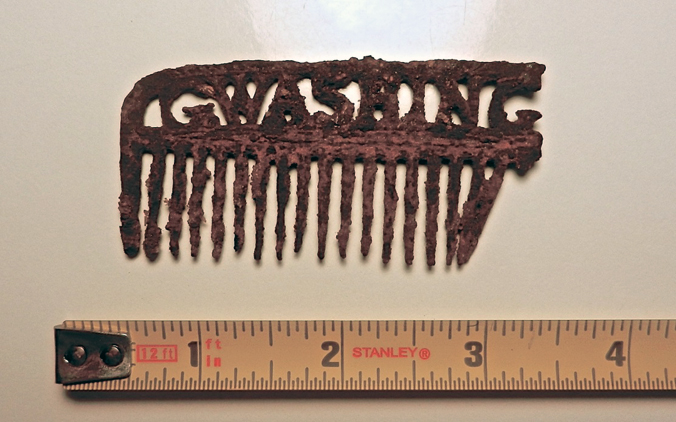 Blog reader's family mane comb