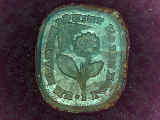 Seal Excavated at Kenmore 2