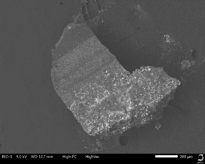 Mercury residue analysis 1
